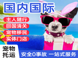 衢州机场邮寄国际宠物托运 【国